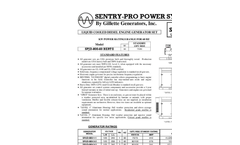 Model SPJD-300 - Standby Generator- Brochure
