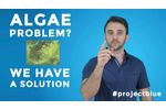 Algae Problem? we have a Solution - Video
