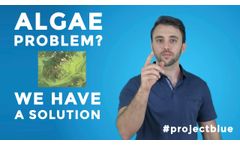 Algae Problem? we have a Solution - Video