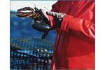 Underwater solutions for the fishing & aquaculture industry - Agriculture - Aquaculture