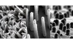 Track-Etched Polymer Membrane Filters for Templating