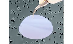 ipPORE - Polyester (PET) Membrane Filters