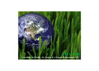 Expert Environmental Consulting Services