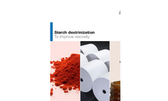 Starch Dextrinization - Brochure