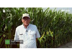Drip Irrigation for Corn