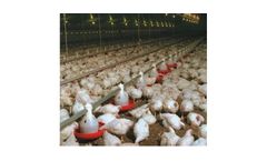 Winchable Poultry Feeding Systems