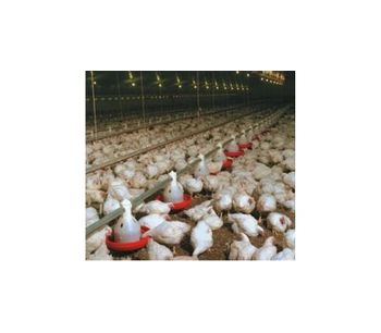 Winchable Poultry Feeding Systems