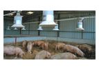 EB - Pig Feeding Systems