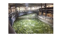A-Consult - Land-Based Fish Farming