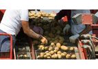 SCS Food Safety Training - Online + Live GLOBALG.A.P. Growers IFA Ver 5.1 - Crops Base; Fruits & Vegetables