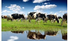 Wastewater Monitoring for Dairy Industry - Real-time BOD, COD, TSS