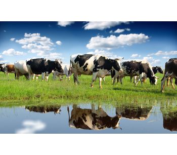Wastewater Monitoring for Dairy Industry - Real-time BOD, COD, TSS - Food and Beverage - Food