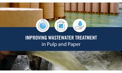 Pulp and Paper Article: Improving Wastewater Treatment Processing with Online Monitoring