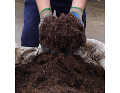 What is 'Learn About Composting Day'?