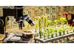 Agriculture technology solutions for the bionutrients sector - Agriculture
