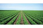 Agriculture technology solutions for the crop protection sector - Agriculture