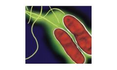 Phigenics - Validation Test Products for Validation of Legionella Hazard Control