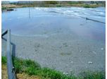 Bio-Augmentation Product Eliminates Odor and Removes Sludge from Waste Lagoons