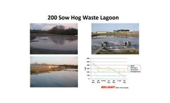 200 Sow Hog Waste Lagoon - Brochure