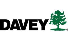 Tree Cavity Treatment Services