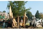 Tree Planting And Transplanting Services