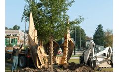 Tree Planting And Transplanting Services