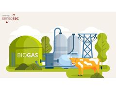 Biogas & Syngas Measurement: Paving the Way for Sustainable Energy Solutions