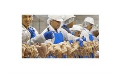 Gas detection solutions for meat & poultry processing air monitoring sector