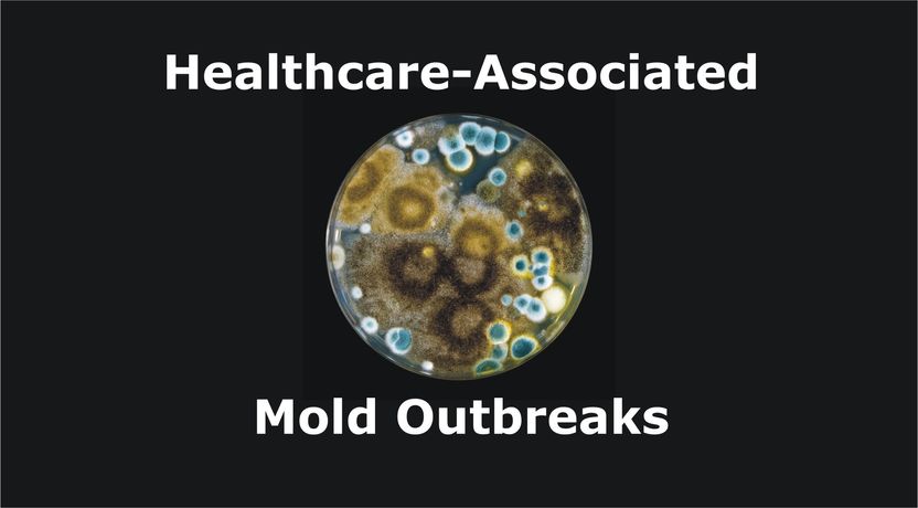 Protecting Patients and Staff from Healthcare-Associated Mold Outbreaks-1