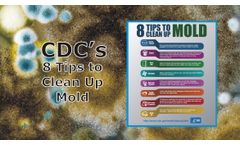 Mold Clean Up Tips from the CDC Discussed in New Online Video