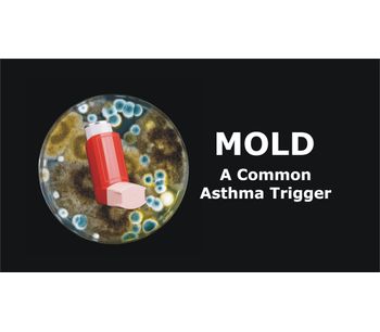 Mold as a Common Asthma Trigger Discussed in New Online Video