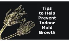 Tips to Help Prevent Indoor Mold Growth Discussed in New Online Video