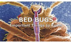 Bed Bugs and Indoor Environmental Quality Discussed in New Online Video