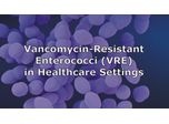 Vancomycin-Resistant Enterococci (VRE) in Healthcare Settings Discussed in New Online Video