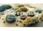 Mold Exposure and Potential Health Effects Discussed in New Online Video
