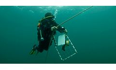 Scientific diver surveys