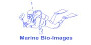 Marine Bio-images