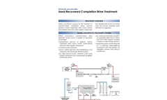 TDS826 Completion Brine Treatment pdf