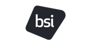 BSI Consulting