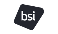 BSI Consulting
