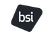 BSI Consulting