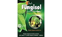 Maple Fungisol - Immunity Builder - Brochure