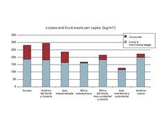 Source: Losses and food waste in the world, SIK & FAO
