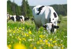Eurovix - Livestock Care Bioenhancers