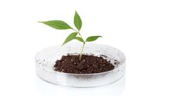 AlgaEnergy - Soil Health Product