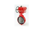 Model 20/21  Series - Resilient Seated Butterfly Valve