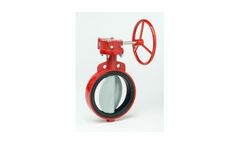 Model 30/31 Series - Resilient Seated Butterfly Valve