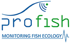 Fish Protection at Hydropower Plants