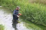 Ecological Fish Monitoring Services