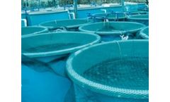 Ozone Solutions for Aquaculture Ozone